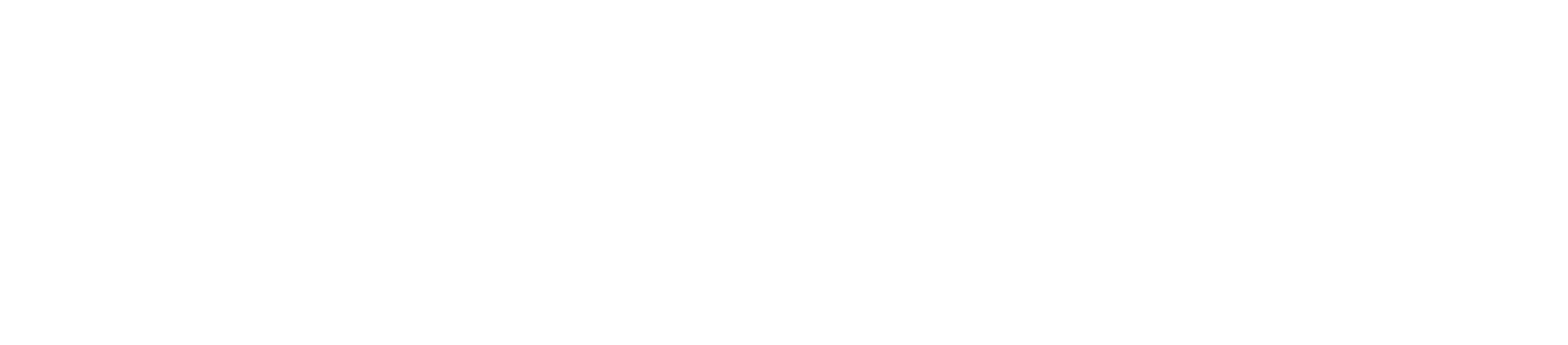 APX Risk Quantum